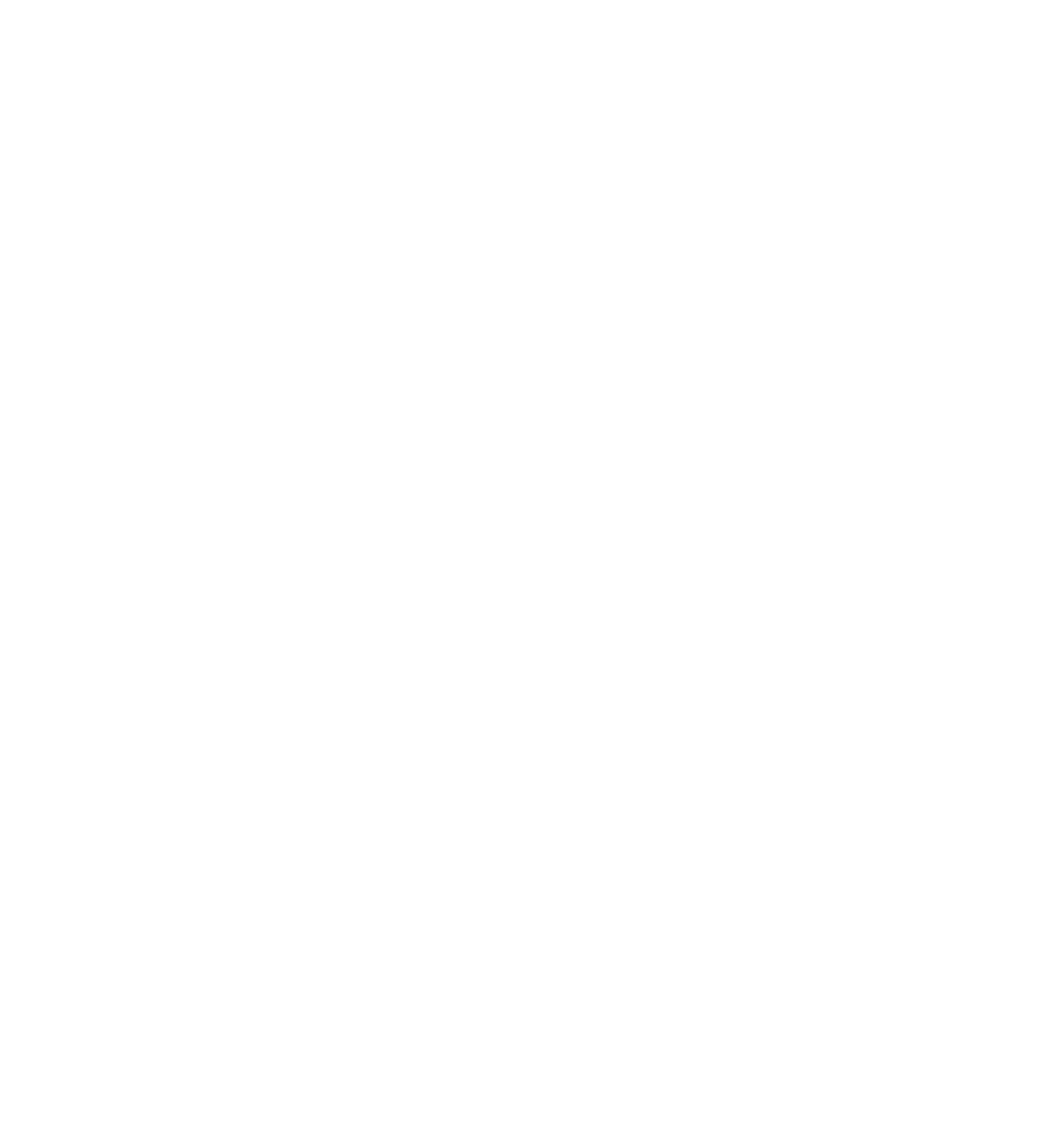 StoreDrop Inc.